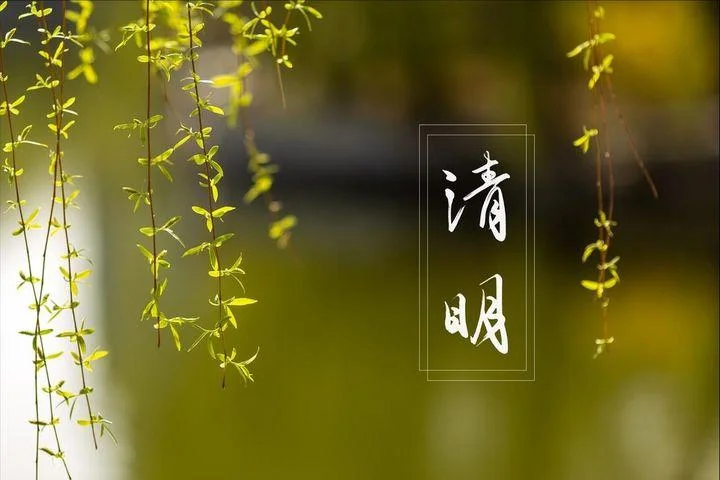 中国清明假期迎来返乡探亲旅游潮 | 360onetravel.com | 旅游和娱乐出版品