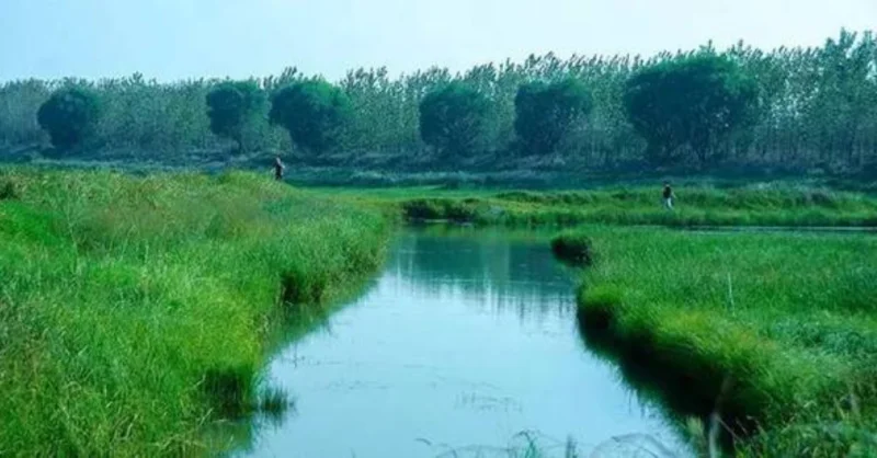 府河湿地 武汉的一片净土 | 360onetravel.com | 旅游和娱乐出版品