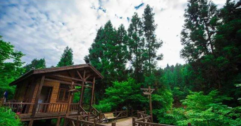 坪坝营原始生态旅游区旅游 | 360onetravel.com | 旅游和娱乐出版品
