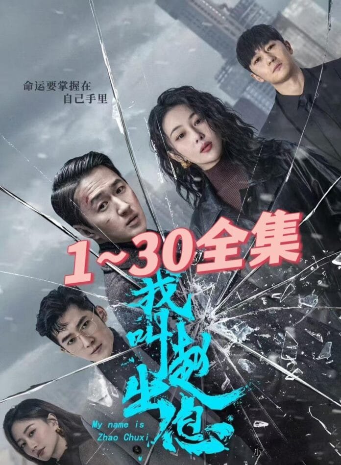 《我叫赵出息》剧集更新日历解析