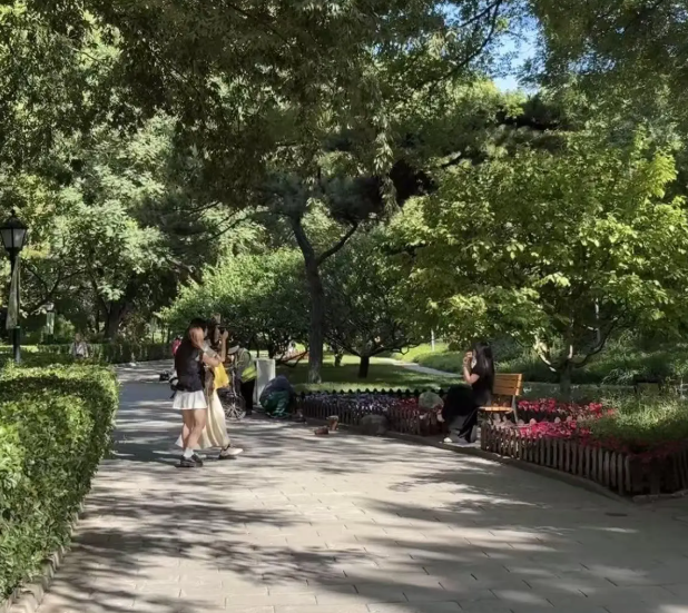 Screenshot_3 | 360onetravel.com | 旅游和娱乐出版品 北京双秀公园:41年未涨价的低票价之谜 | 360onetravel.com | 旅游和娱乐出版品