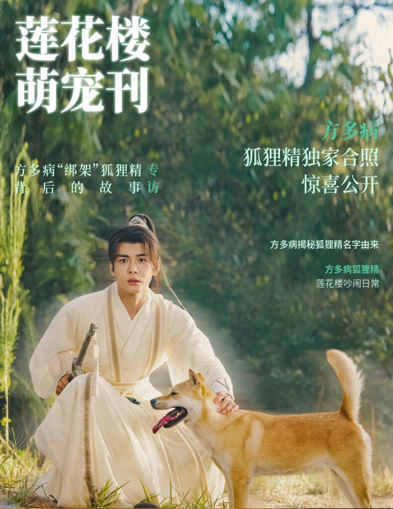 影视作品中的犬类演员：训练、片酬与稀缺性 | 360onetravel.com | 旅游和娱乐出版品