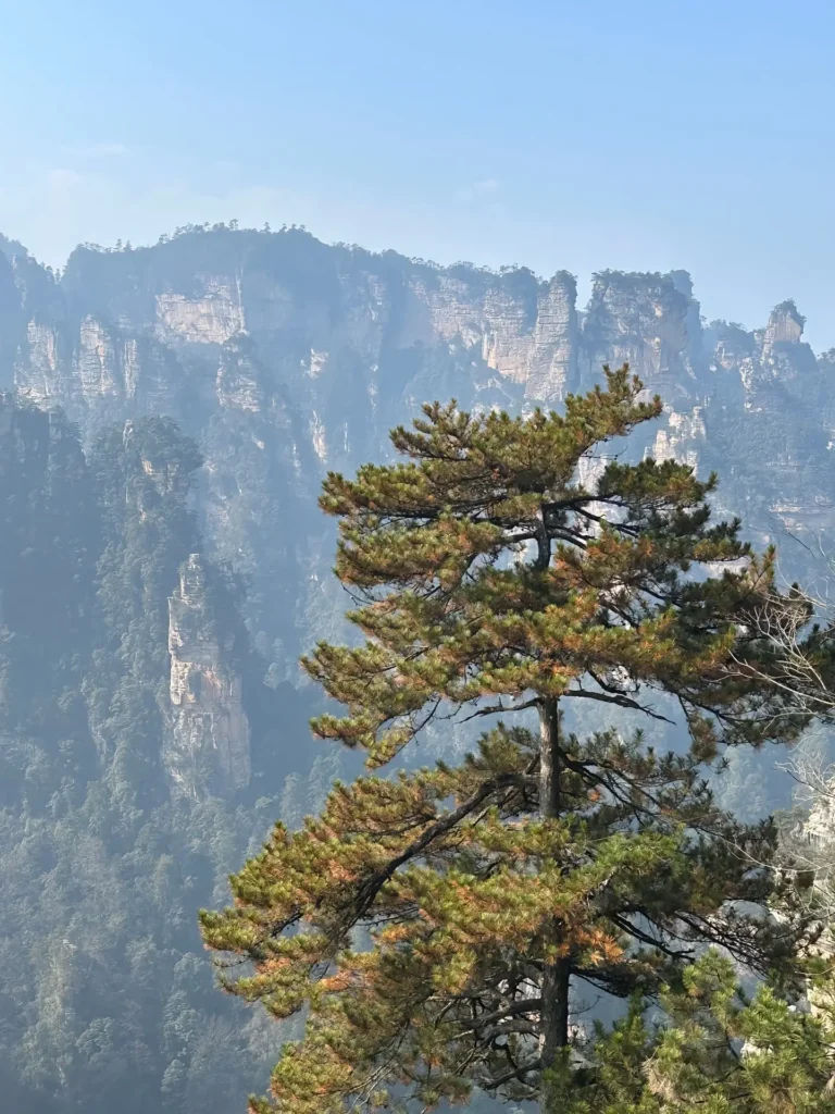 a1 | 360onetravel.com | 旅游和娱乐出版品 张家界自由行最佳路线及建议 | 360onetravel.com | 旅游和娱乐出版品