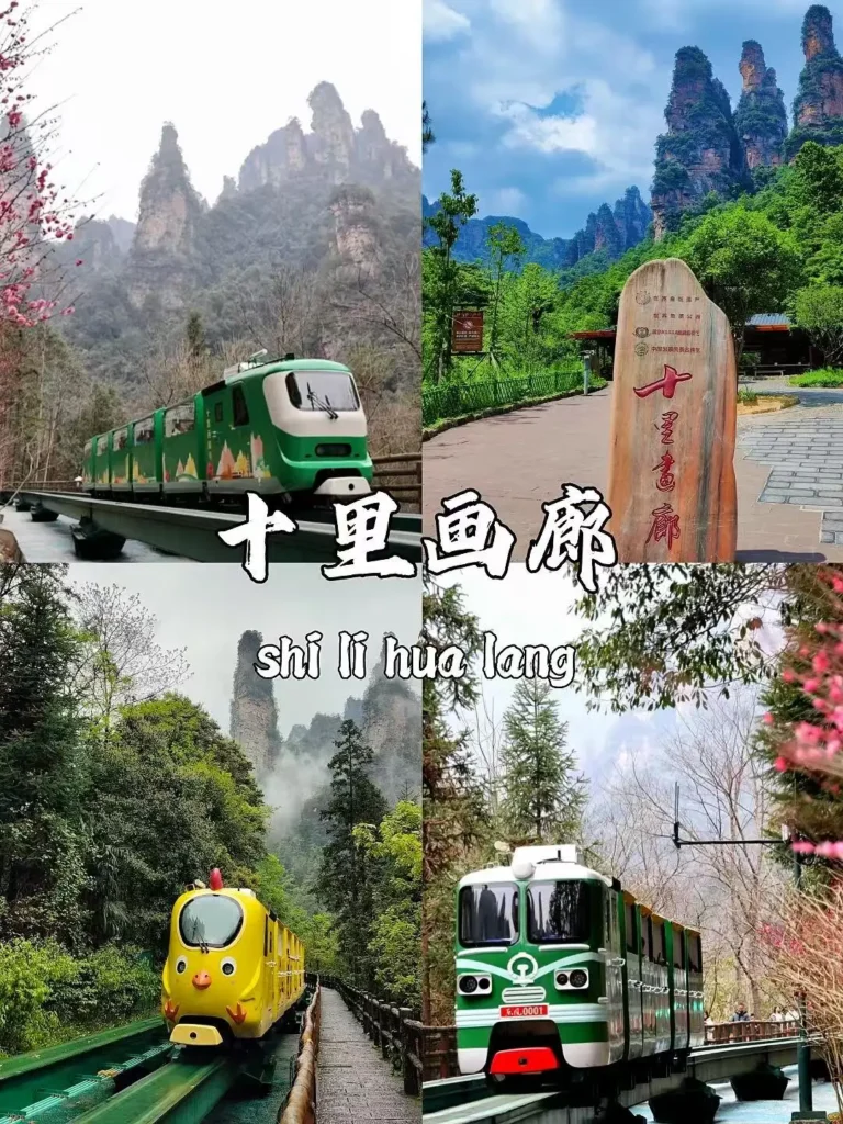 a2 | 360onetravel.com | 旅游和娱乐出版品 张家界自由行最佳路线及建议 | 360onetravel.com | 旅游和娱乐出版品