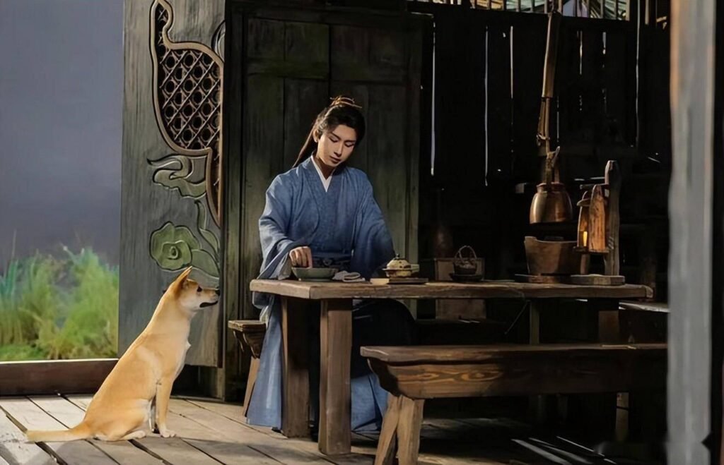 影视作品中的犬类演员：训练、片酬与稀缺性 | 360onetravel.com | 旅游和娱乐出版品