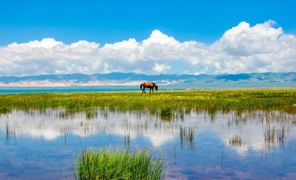 🌊 青海湖（Qīnghǎi Hú）——高原上的湛蓝奇迹 | 360onetravel.com | 旅游和娱乐出版品