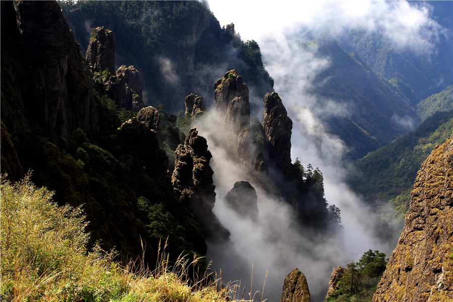 🌲 神农架——华中绿色宝库中的清凉秘境 | 360onetravel.com | 旅游和娱乐出版品
