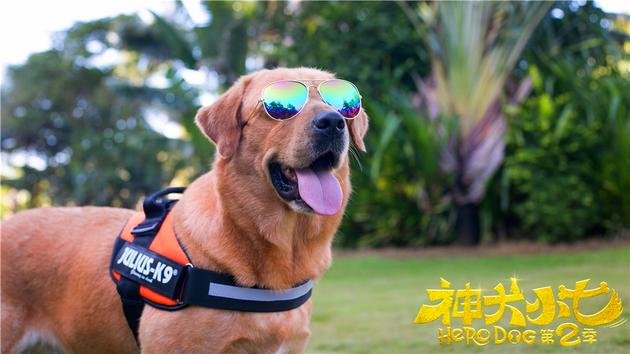 为何如今鲜见《神犬小七》这样的萌宠剧？ | 360onetravel.com | 旅游和娱乐出版品
