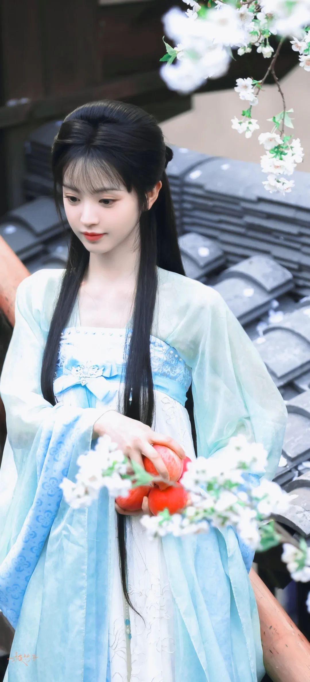 640 | 光影旅途 田曦薇的古装美照:优雅与活泼的完美结合 | 光影旅途