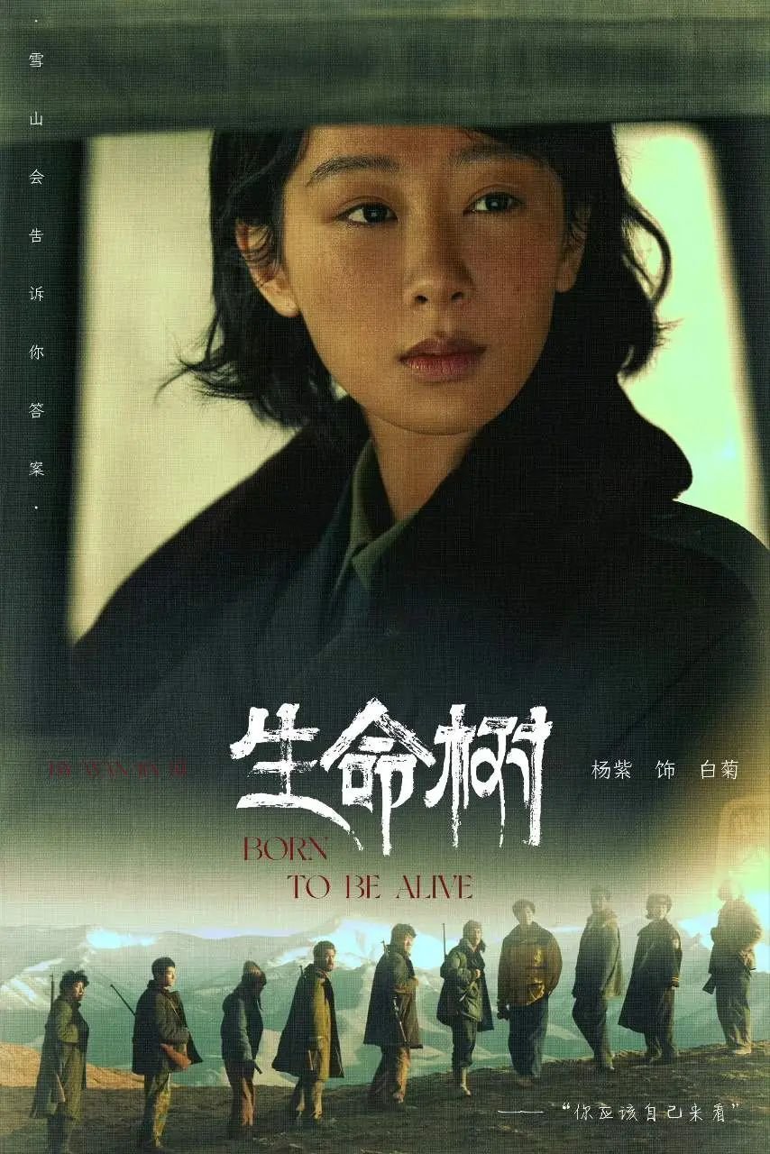 640 | 光影旅途 杨紫稳站90花一梯队,《生命树》因青海天气杀青时间未定 | 光影旅途