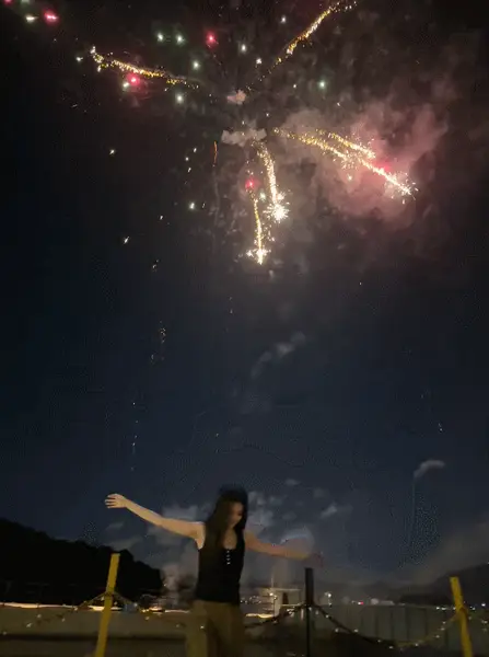 1a1 | 光影旅途 白鹿在夜色下的绚丽瞬间 | 光影旅途