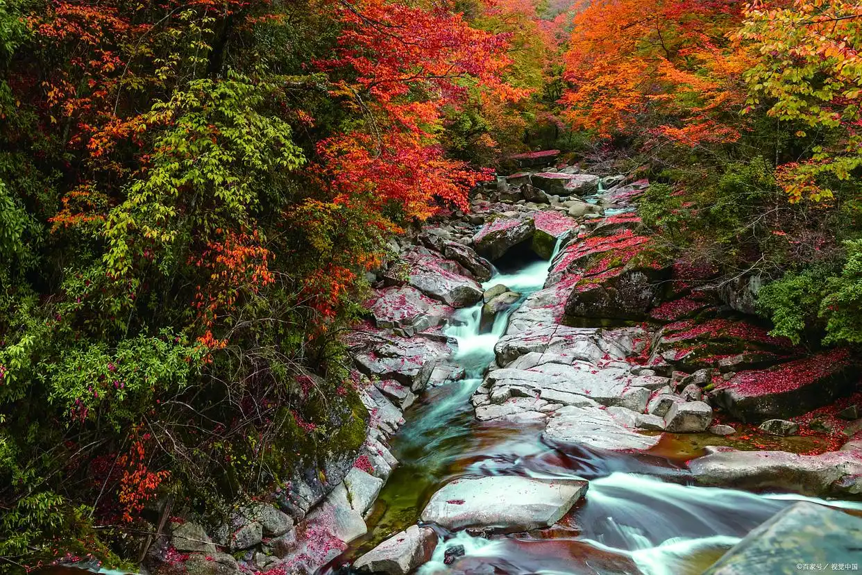 a1 | 光影旅途 丹东青山沟秋色漫游:在山水间品味季节的诗意 | 光影旅途