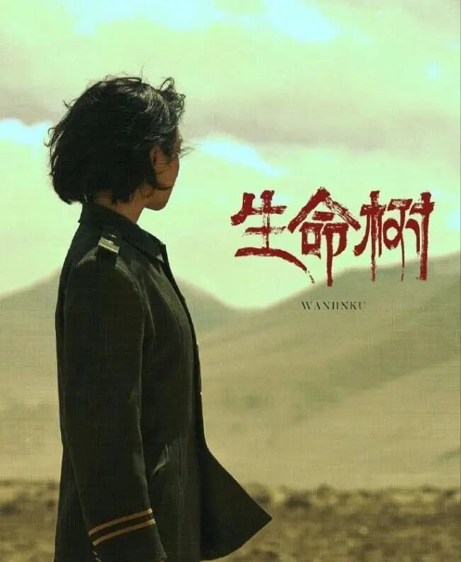 a1 | 光影旅途 杨紫新剧《生命树》拍摄艰辛回顾 | 光影旅途