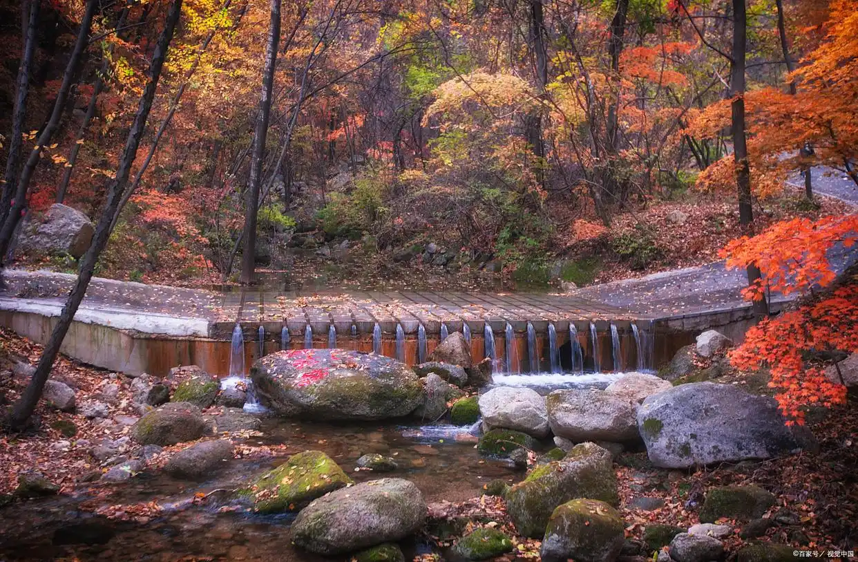 a3 | 光影旅途 丹东青山沟秋色漫游:在山水间品味季节的诗意 | 光影旅途