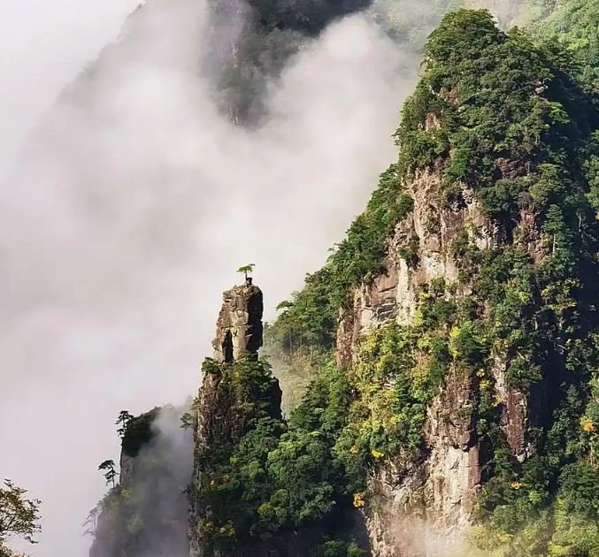 Screenshot_1 | 光影旅途 10月江浙沪6条小众自驾路线:2小时出发,风景疗愈、人少景美、性价比超高! | 光影旅途