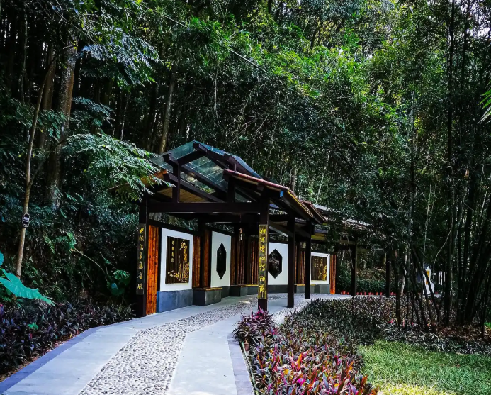 Screenshot_1 | 光影旅途 在竹影与云雾之间——寻一场安吉灵峰山的森呼吸 | 光影旅途