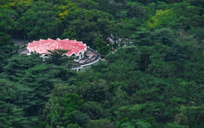 Screenshot_3 | 光影旅途 在竹影与云雾之间——寻一场安吉灵峰山的森呼吸 | 光影旅途