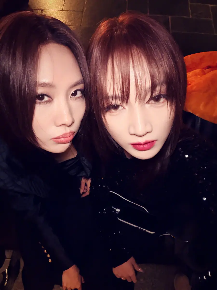 nj | A Journey of Light and Shadow Wang Feifei shares heartwarming photo with Liu Tao and Meng Jia: "Sisterly love rekindled, in a great mood" | Journey of Light and Shadow