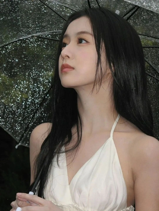 ko | 光影旅途 包上恩与司机事件的真相解析 | 光影旅途