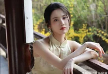 资源断档与定位失衡:32岁“谋女郎”张慧雯的阶段性困境